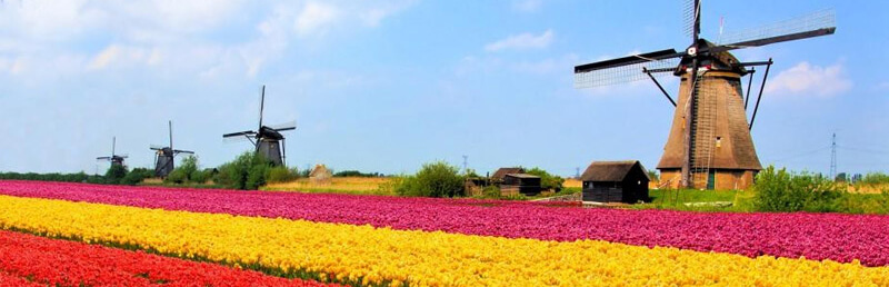 Netherlands, Expo FoodTehc guest country partner 2022