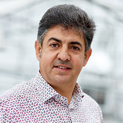 Roberto Ruiz